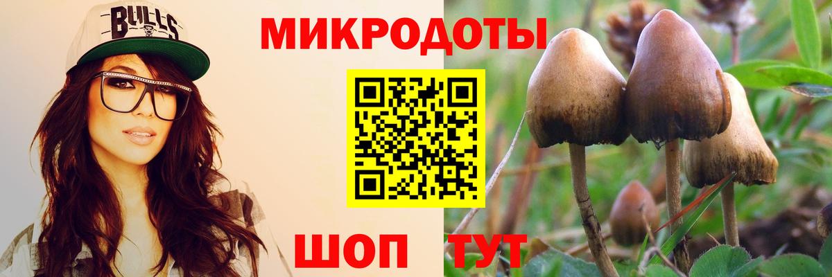 Шебекино  наркота  Вход с VPN  Галлюциногенные грибы прущие грибы 